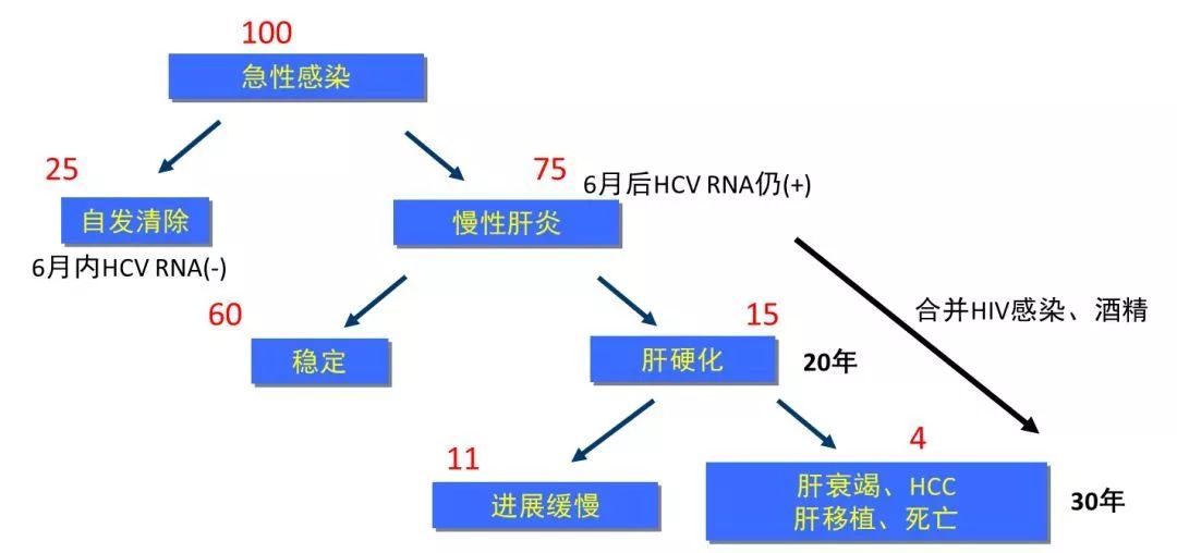 丙肝檢測的弱陽性究竟是不是感染了丙肝？